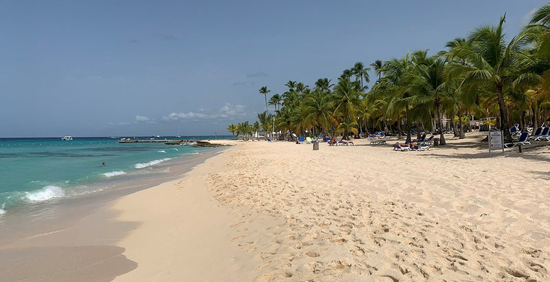 Quand partir à Punta Cana ? Quel budget ? Quelles Excursions ? L’interview de Sacha et Aurélie