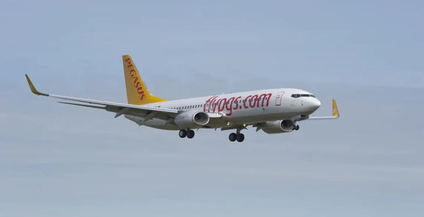 bagages-cabine-turkish-airlines-pegasus