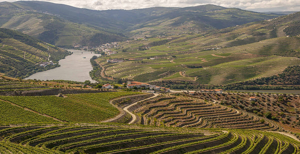 croisière-sur-le-douro