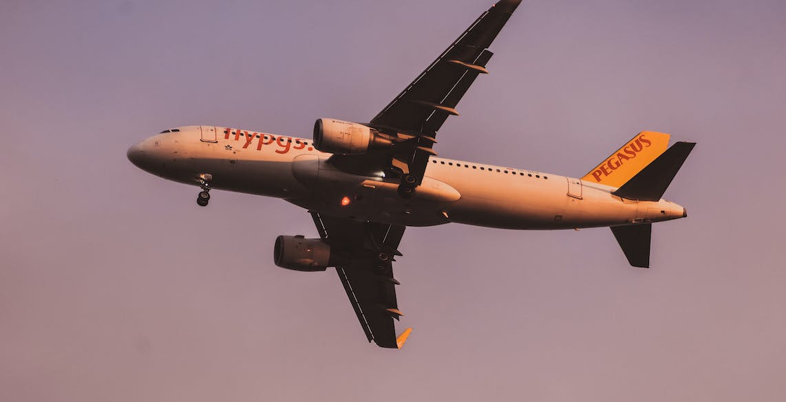 avis-pegasus-airlines