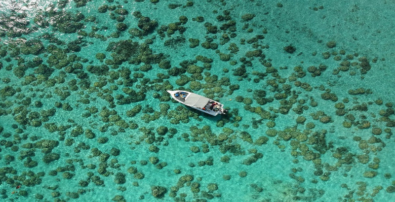 que-visiter-à-lîle-maurice