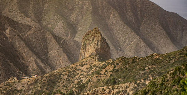 visiter-l'île-de-la-gomera-nois-conseils-de-voyage