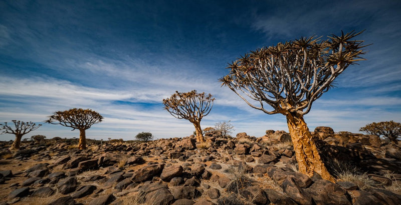 voyage-en-namibie