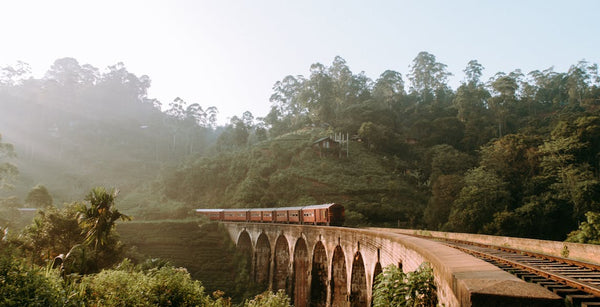 quand-partir-au-sri-lanka-conseils-de-visite