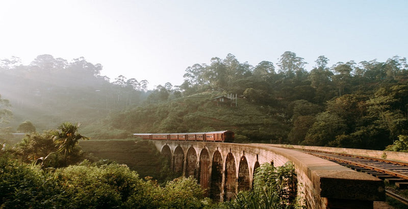 les-incontournables-à-découvrir-au-sri-lanka