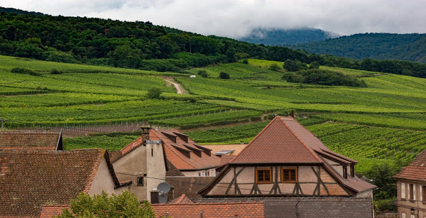 visite-alsace-guide-de-voyage-d'une-des-plus-belles-régions