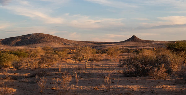 Voyage-Namibie-tout-savoir-pour-un-séjour-de-rêve