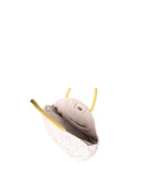 DARI BALI - SAC ROND TANAH LOT